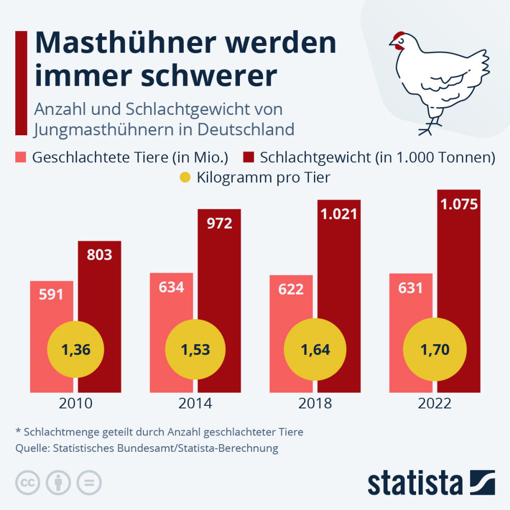 Infografik: Masthühner werden immer schwerer | Statista