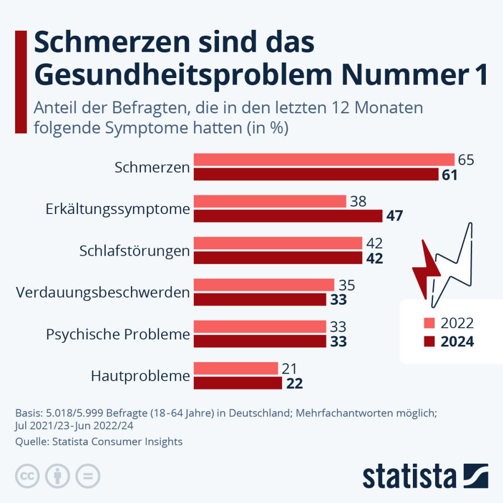 Infografik: Schmerzen sind das Gesundheitsproblem Nummer 1 | Statista