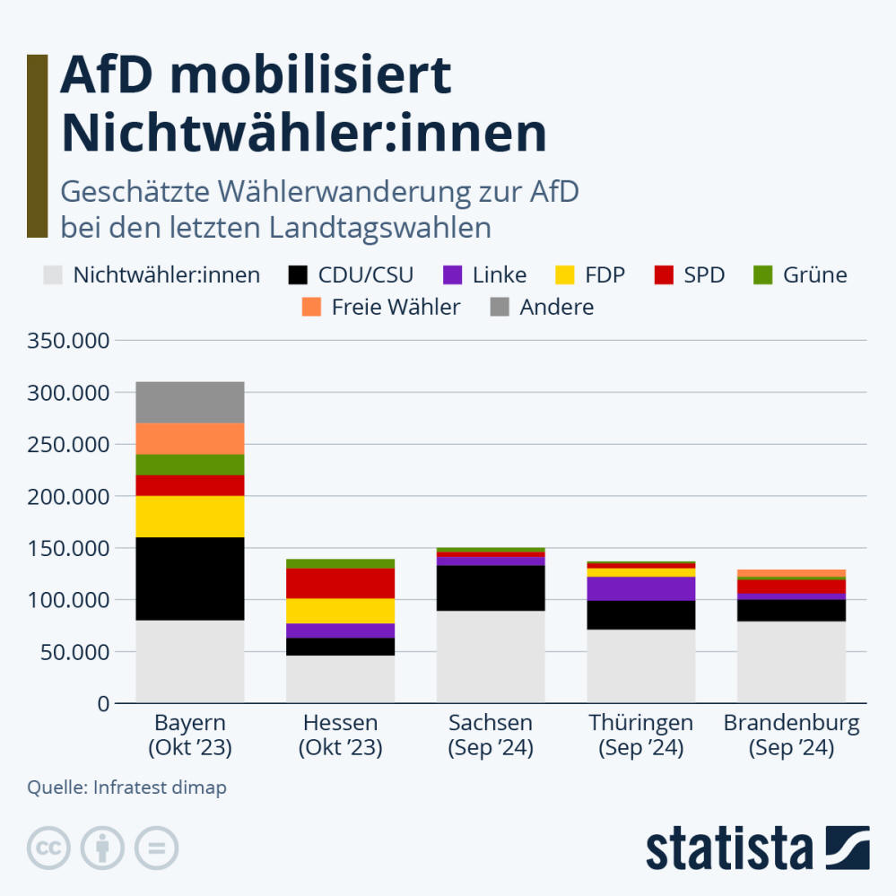 Infografik: Woher kommen AfD Neuwähler:innen? | Statista